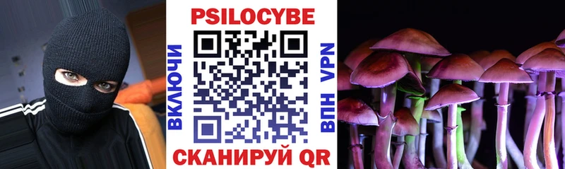 Галлюциногенные грибы мицелий  Рассказово 
